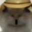 路边一条
