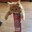 KittenWhiskers