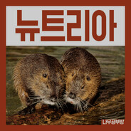 무심천뉴트리아