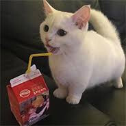 ExtendedCord