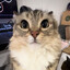 DexpeR