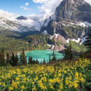 雪中踏剑望红梅