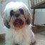 Andrade