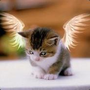 乆零!℡:244842449