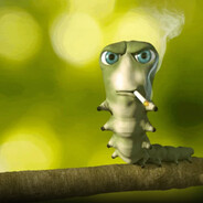 mato Steam avatar