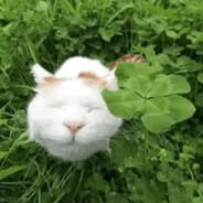 TheBobik99