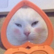 对不起了，钱钱