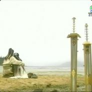 审璀璨中的凋零判