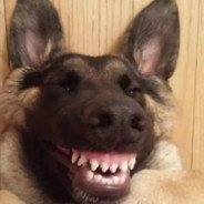 王牌白给员正在送命