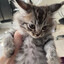 tony