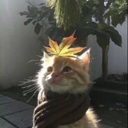 Lenchik