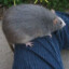 rodent of unusual size