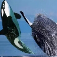 骗大哥买活的屑猛犸