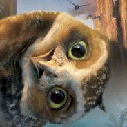 oprtrinjuredowl