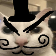 Jewish Cat