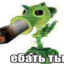 *Svoi*