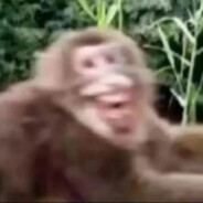 山东理工大学招生办