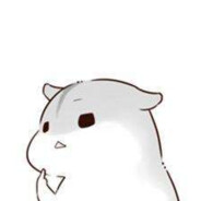 鼠鼠我呀 最爱胡桃老婆