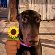 爱是下不完的雨