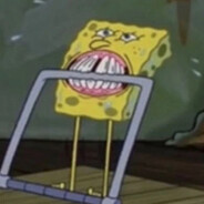 sponge