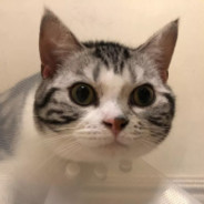 你低头不说一句