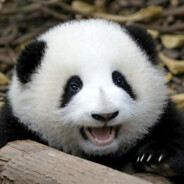 老奶奶飙车创死你