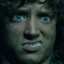 Hobo Frodo