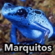 Marquitos