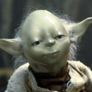 ceramic green avatar