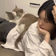 非正常人类研究中心 有趣