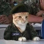 Sgt. Mittens