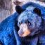 Blue_Bear