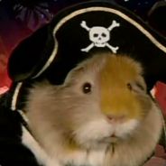 给队友添麻烦了