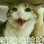 海星叭