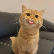 zyxxiňo avatar