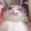 羊库库老师