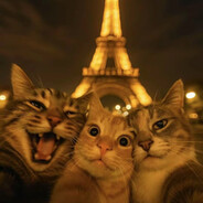 懒洋洋来了242424