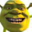 Shrekowski3 CS.PRO