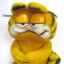 onlyfan.com/Garfield