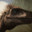 dino monster