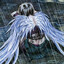 teha's avatar