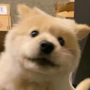 玩家头像