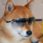 Agent Shoob