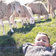 M5f90 - steam id 76561198259219685