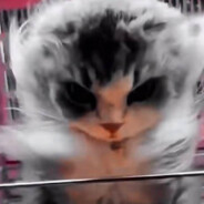 吃喝朴都是赔，唯有赌博算来回