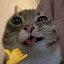JoSadx