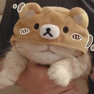 故事开始总是极具温柔