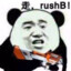 大雪龙骑过江南