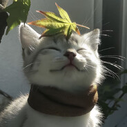 Lumi