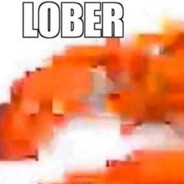 LOBER